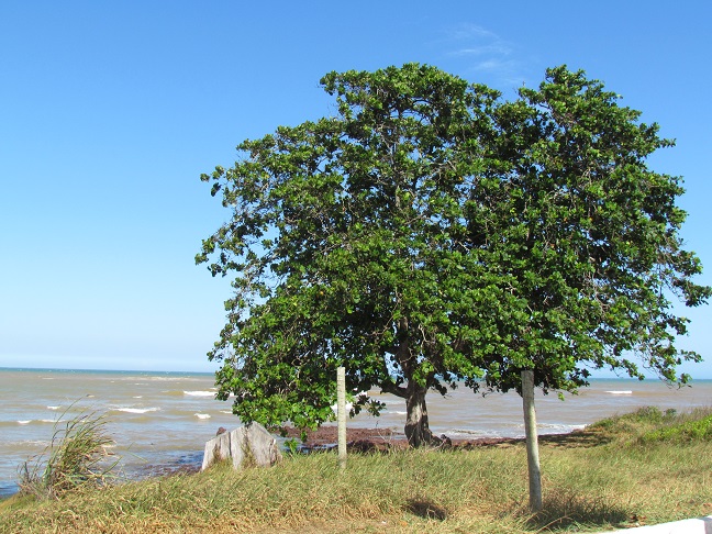 Praias do Espirito Santo Jacaraipe (31)