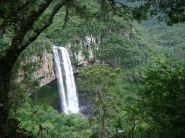 o que fazer de graca em gramado e canela (2)