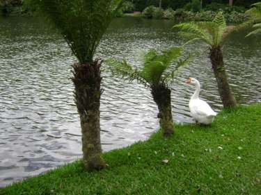 o que fazer de graca em gramado e canela