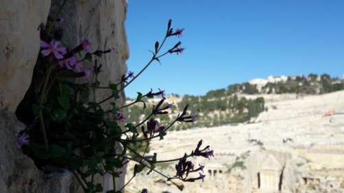 Roteiro bíblico imperdível em Jerusalém