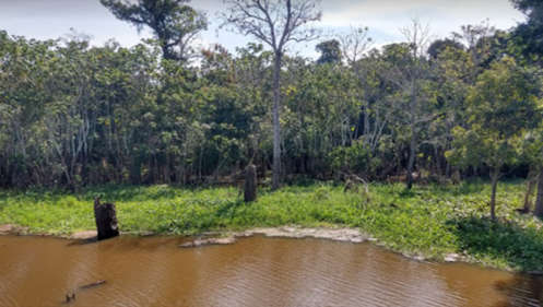 Parque Ecológico Janauary Manaus Dicas, Passeios e Roteiros Calendário de eventos de Manaus - Amazônia