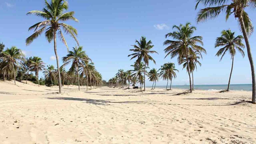 Passeios imperdíveis em Fortaleza